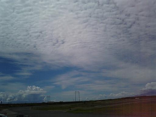 ���s�I����̋�